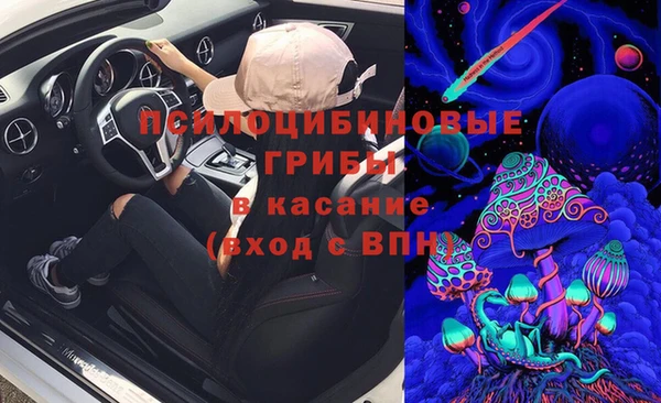 a pvp Вязьма