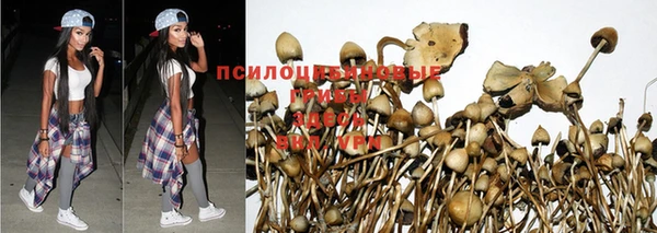 винт Горняк