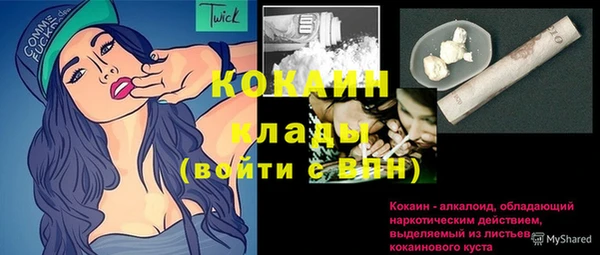 винт Горняк