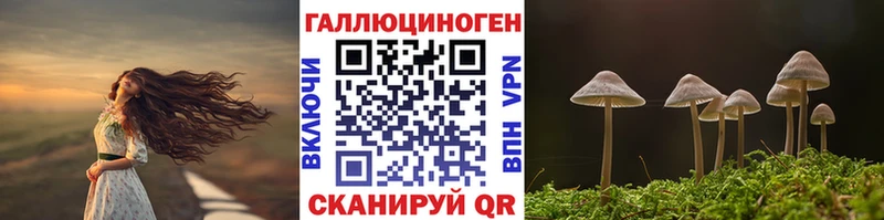 mega ссылка цена Находка Псилоцибиновые грибы Cubensis